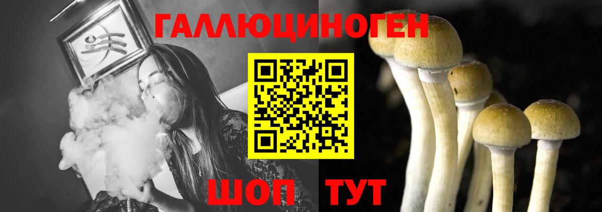 Галлюциногенные грибы прущие грибы  Вход с VPN  Ивантеевка 